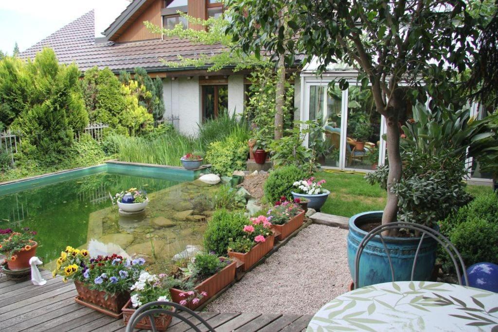 Bed & Breakfast Wepfer Grüt 외부 사진